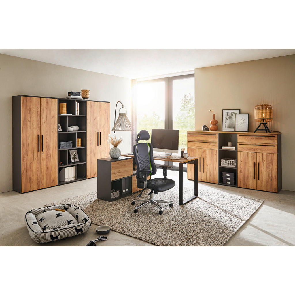 Alternative view of ARHIVSKA OMARA barve grafita, barve hrasta