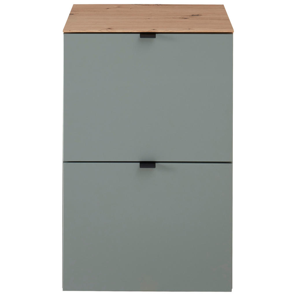 Alternative view of OMARA Z LOPUTAMI ZA ČEVLJE hrast artisan, žajbljevo zelena