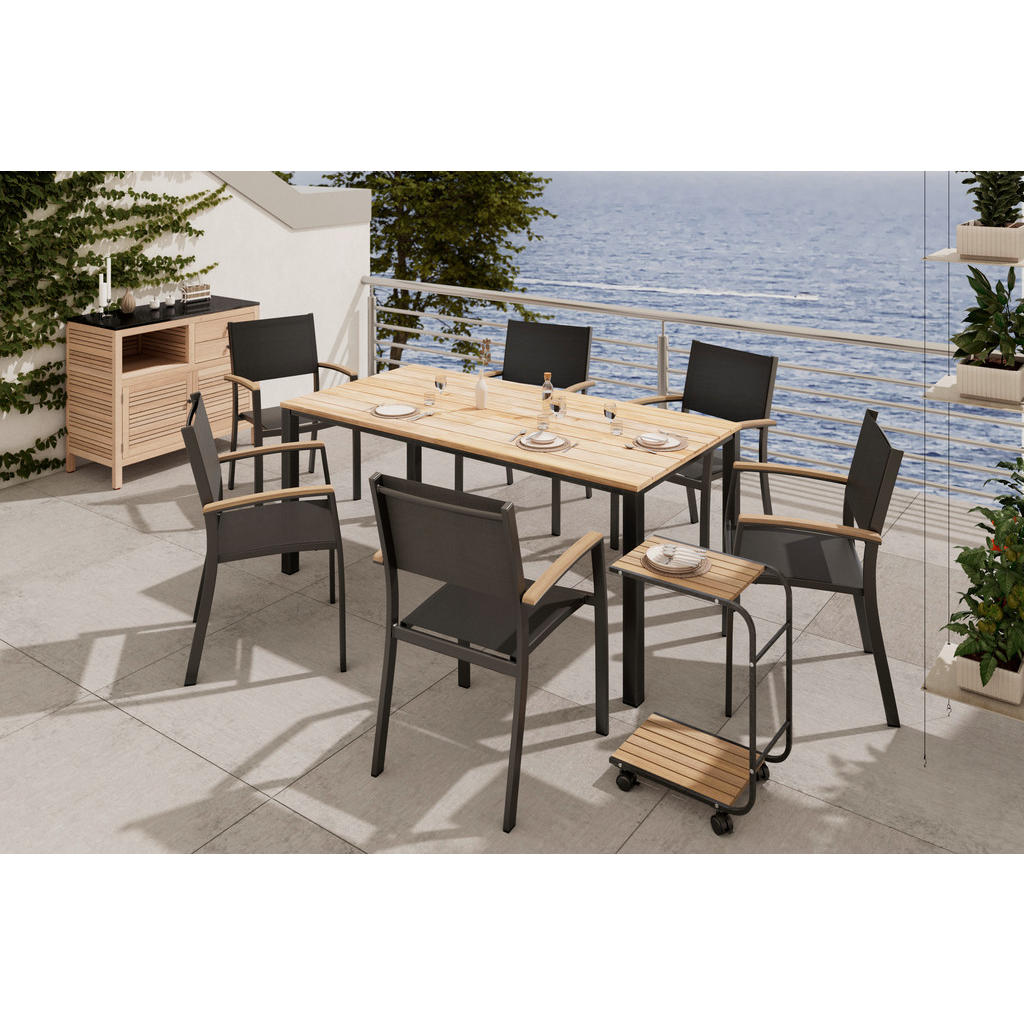 MIZICA, črna, barva tikovine