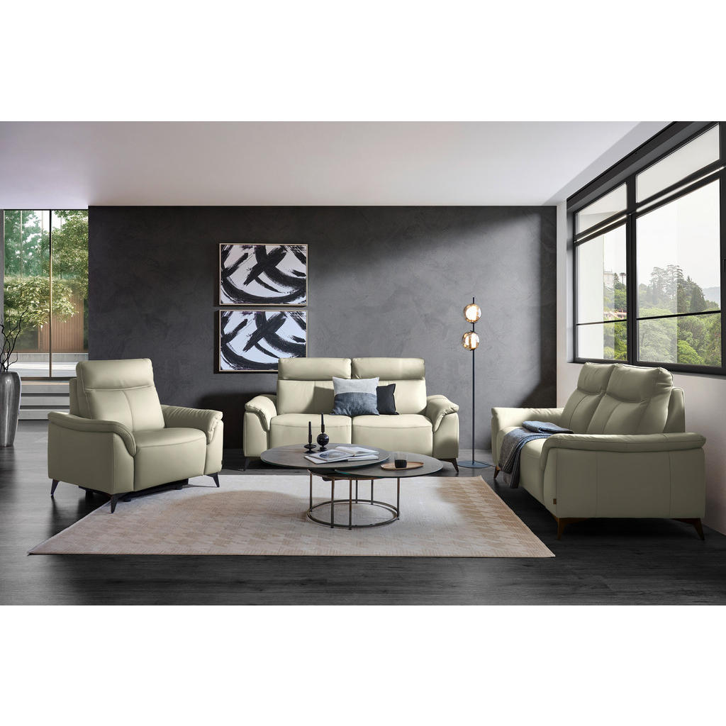 Alternative view of 3-SED, srebrne barve usnje