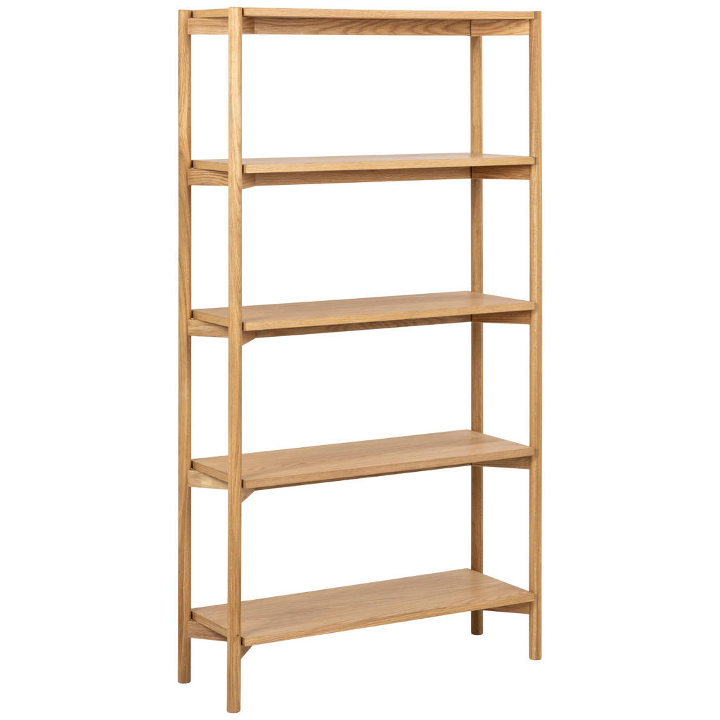 REGAL 86/160/30 cm barve hrasta