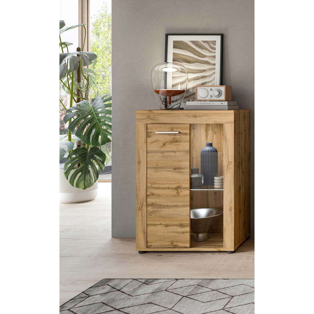 Alternative view of VITRINA, hrast wotan