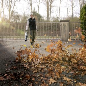 Alternative view of Karcher PROFI puhalnik listja LB 930/36 Bp, 1.042-507.0