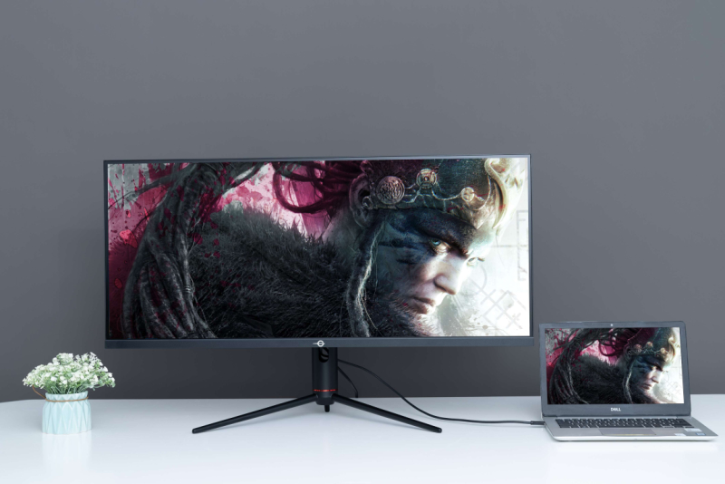 TITAN ARMY monitor IPS P40UG - slika 2