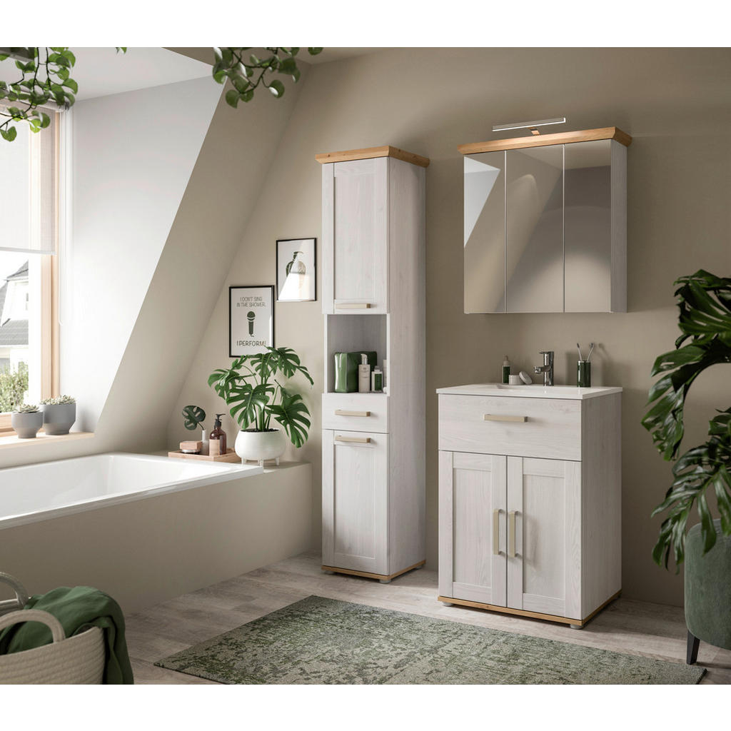 KOPALNICA barve macesna, hrast artisan